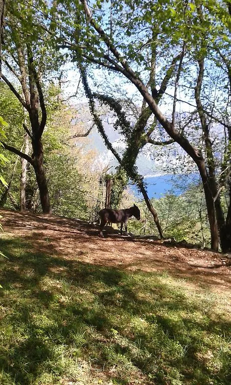 B&B L'Isoletta Italy